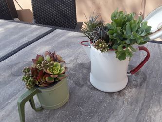 mother day gift Succulents flowers plants vintage white red Coffee pot graniteware country cottage chic