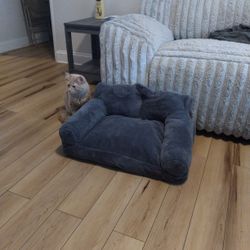 Cat/Dog Plush Bed