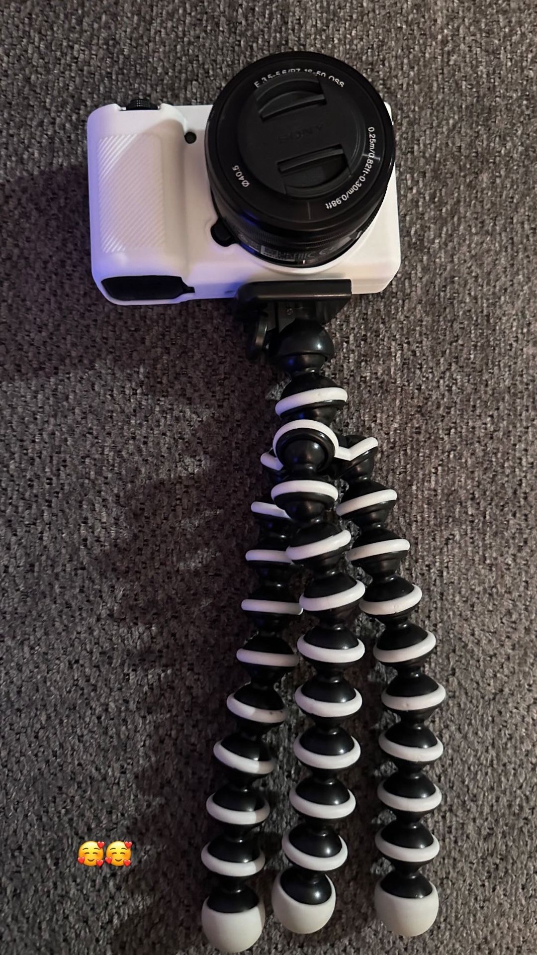 Sony Zve10