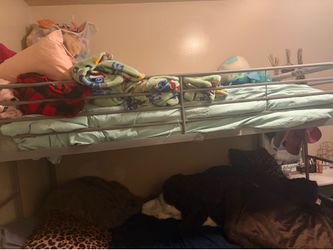 Twin bunk bed