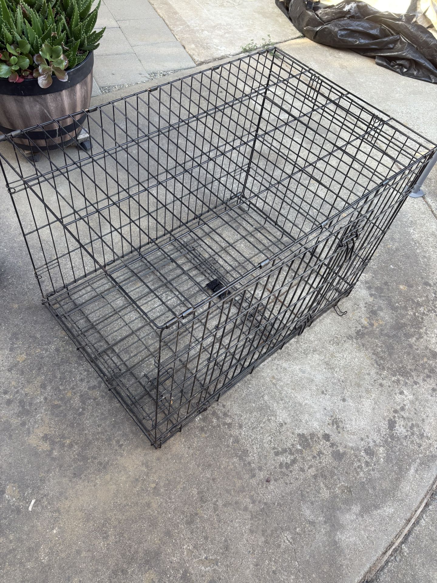 Dog Crate