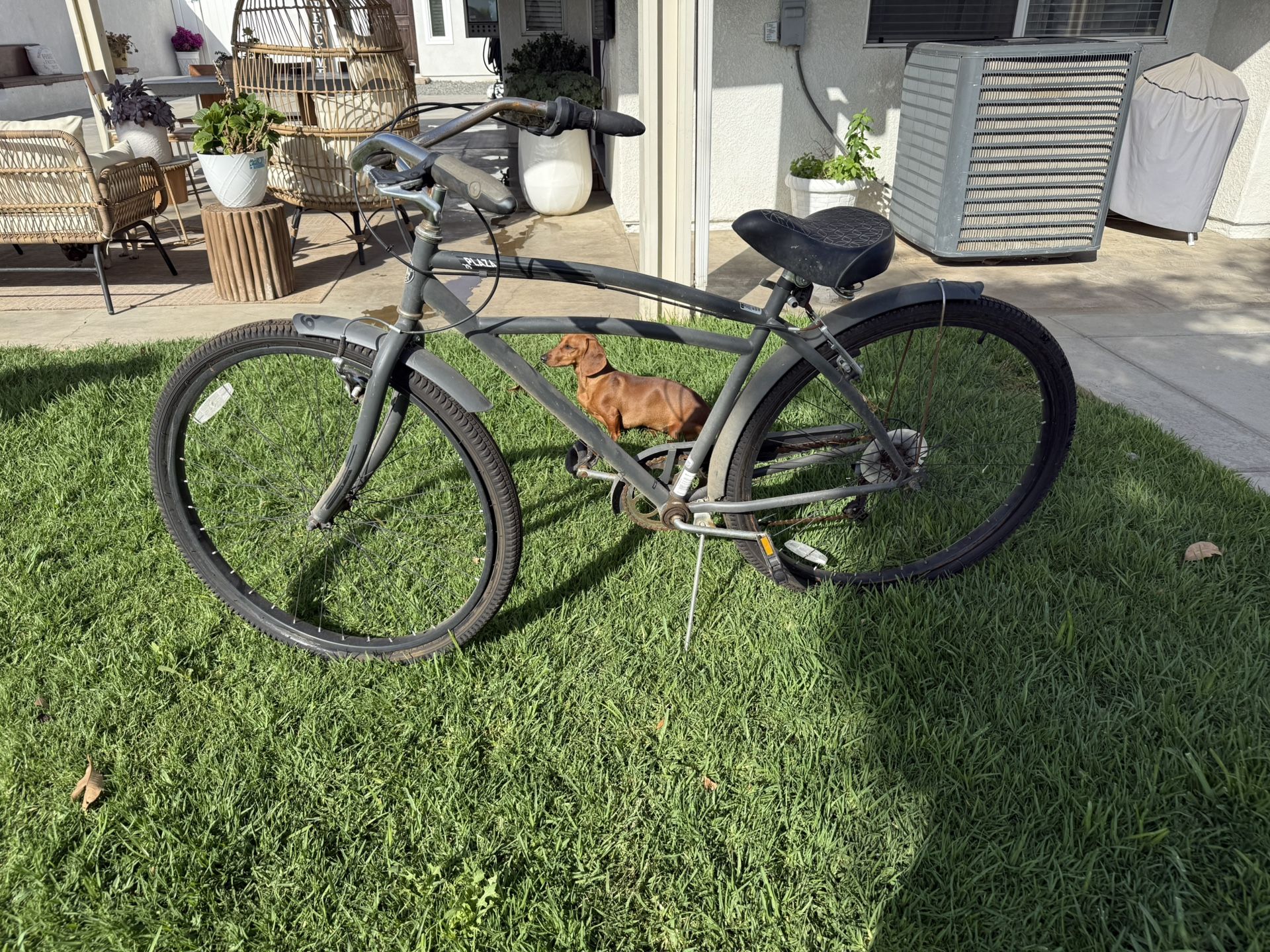 29”in Tire Beach Cruiser