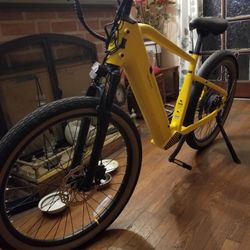 Fully Electric Bike