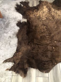 Buffalo Hide Rug