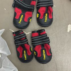 Shoes for your fur baby new