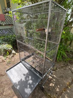 Bird Cage + Toys