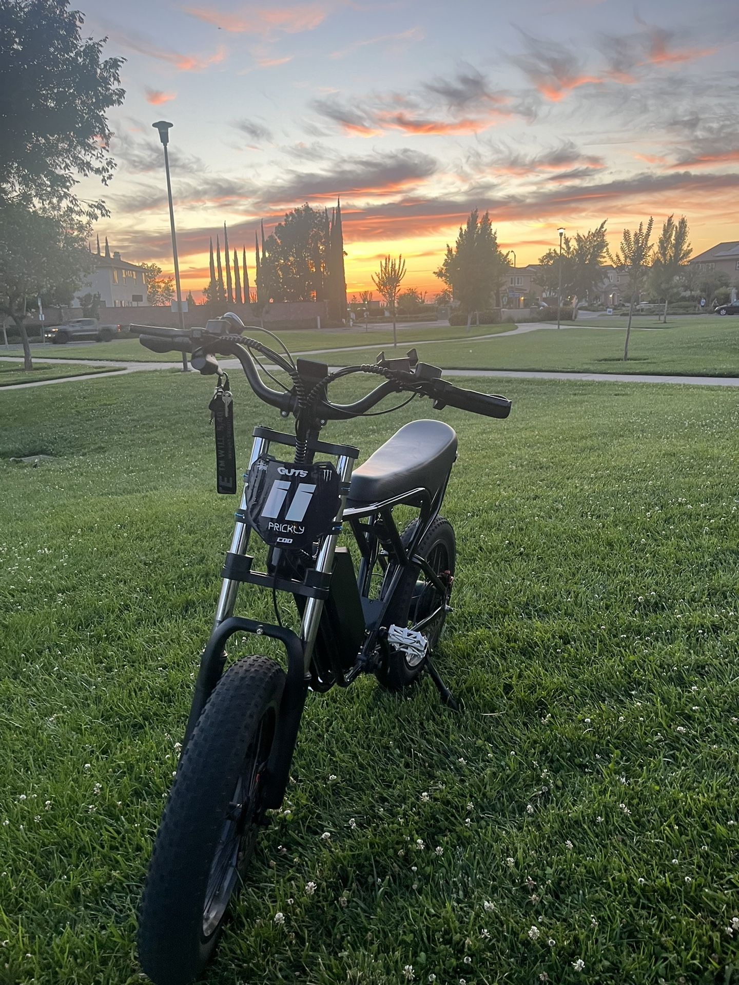 Ridstar Q20