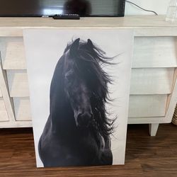 Horse Frame 
