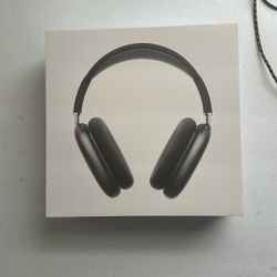 Apple AirPod Maxes
