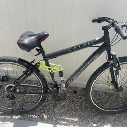 Incline Bike 