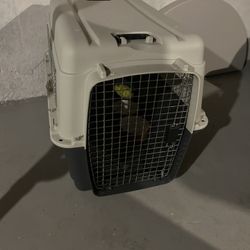 Pet Kennel 