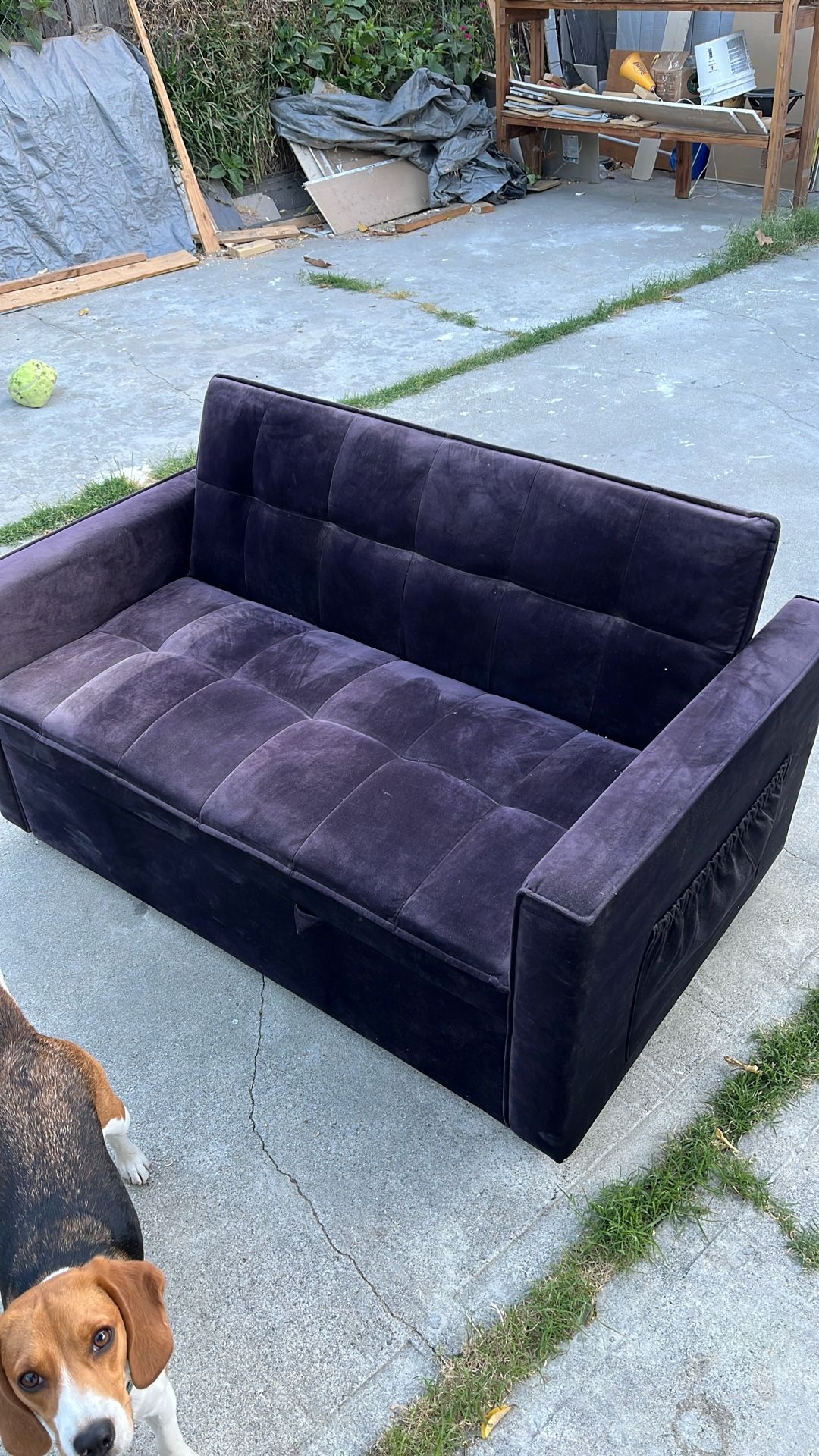 Couch/bed 