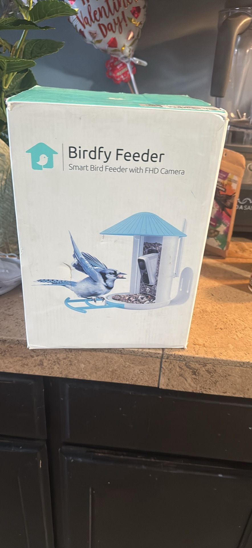 Bird Feeder Camera