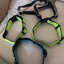 Dog Collar And Harness 