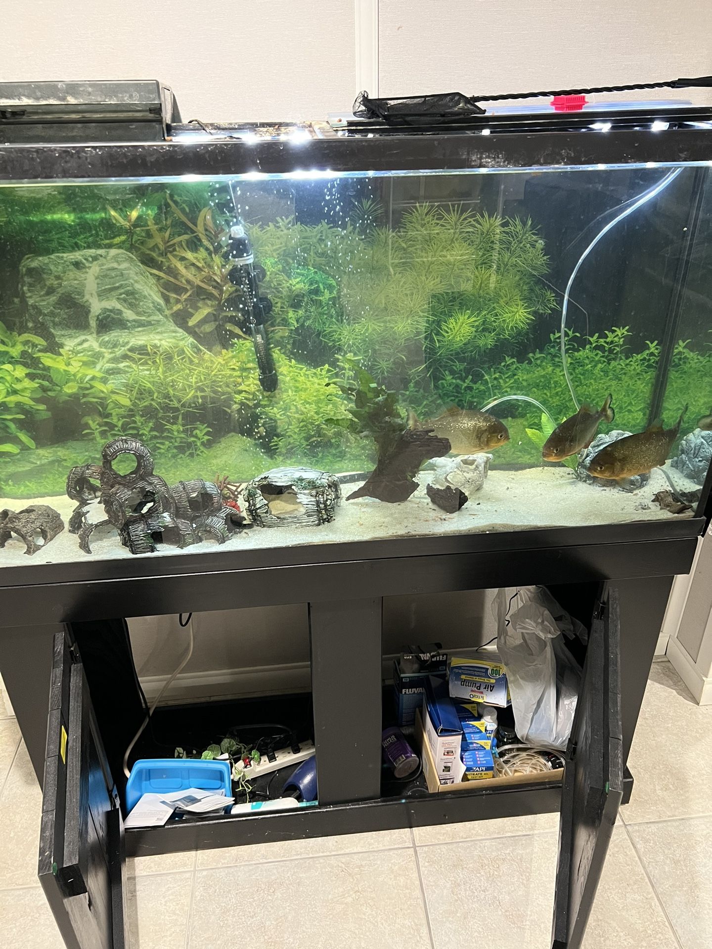 Fish tank 75 Gallon With Stand