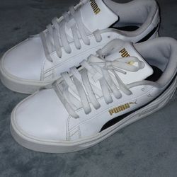 Puma