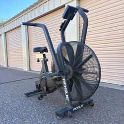 Rogue Echo Bike V2