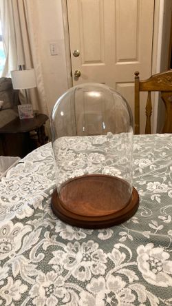 Glass Dome Display w/ Wood base for collectibles display