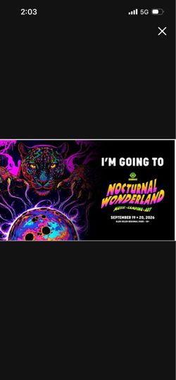 Nocturnal wonderland