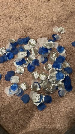 Blue, white and silver flower petals