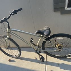 Beach Cruiser