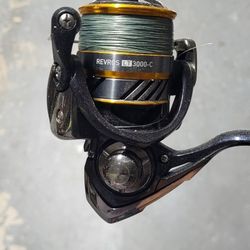 Spinning Reel & Pole Combo