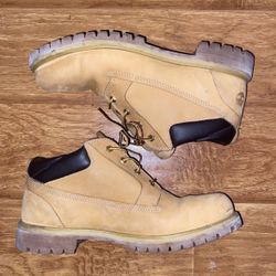 Timberlands Men Size 12