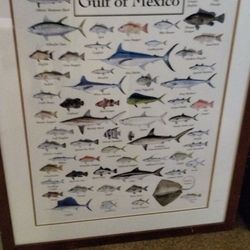 Nice Picture In Wooden Frame Like New