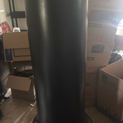 CENTURY punching bag