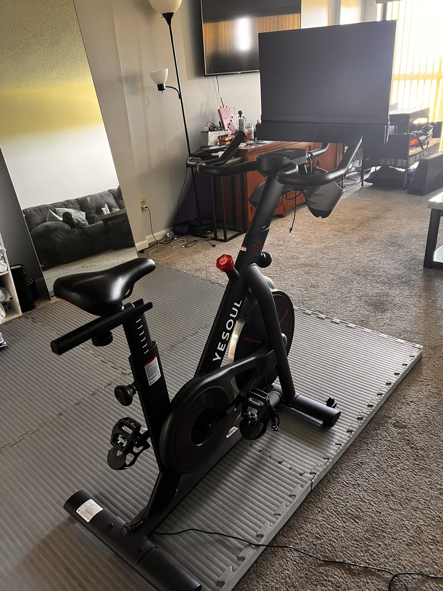 *Practically New!* Need gone ASAP! Yesoul G1M Plus Bike (Bike+Screen)
