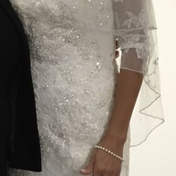 Wedding Dress- Fitted, Mermaid-style & Veil