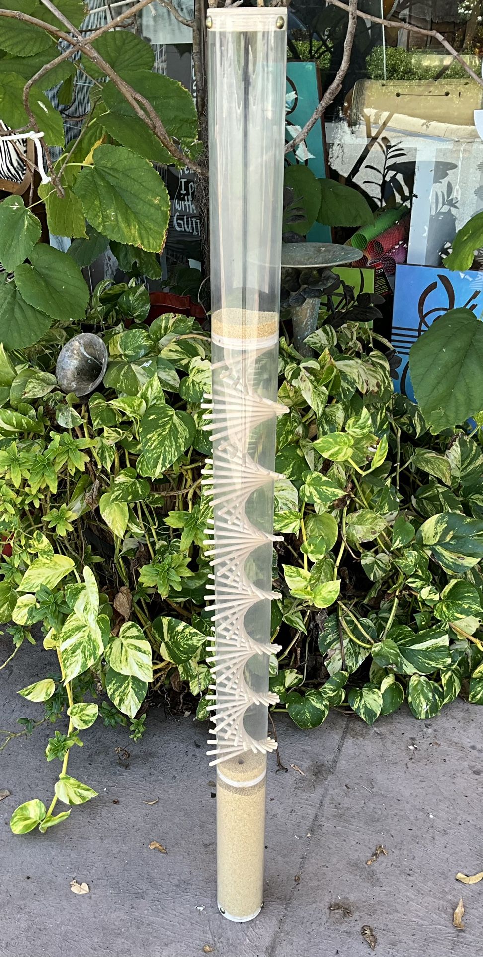 Rainstick Dreams Large Amaranth Seed Rainstick