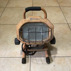 Portable Light