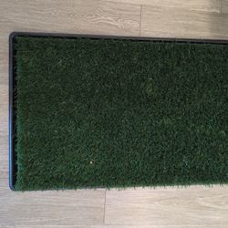 Two Grass Dog Carpets, One New, One Out Of The Box