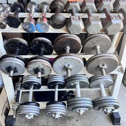 Dumbbells + Rack