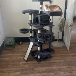 Cats Tree House 
