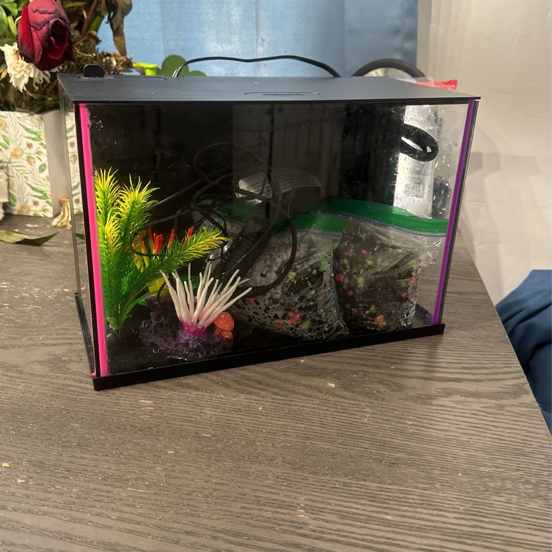 Fish Tank
