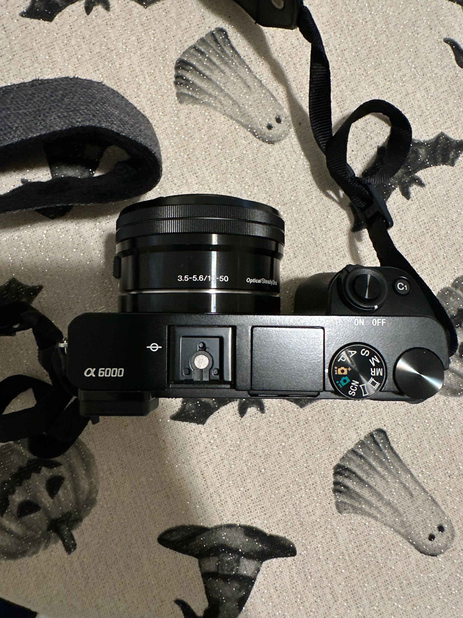 Sony Alpha a6000 Mirrorless Camera Bundle