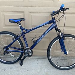 Giant Rincon Mountain Bike