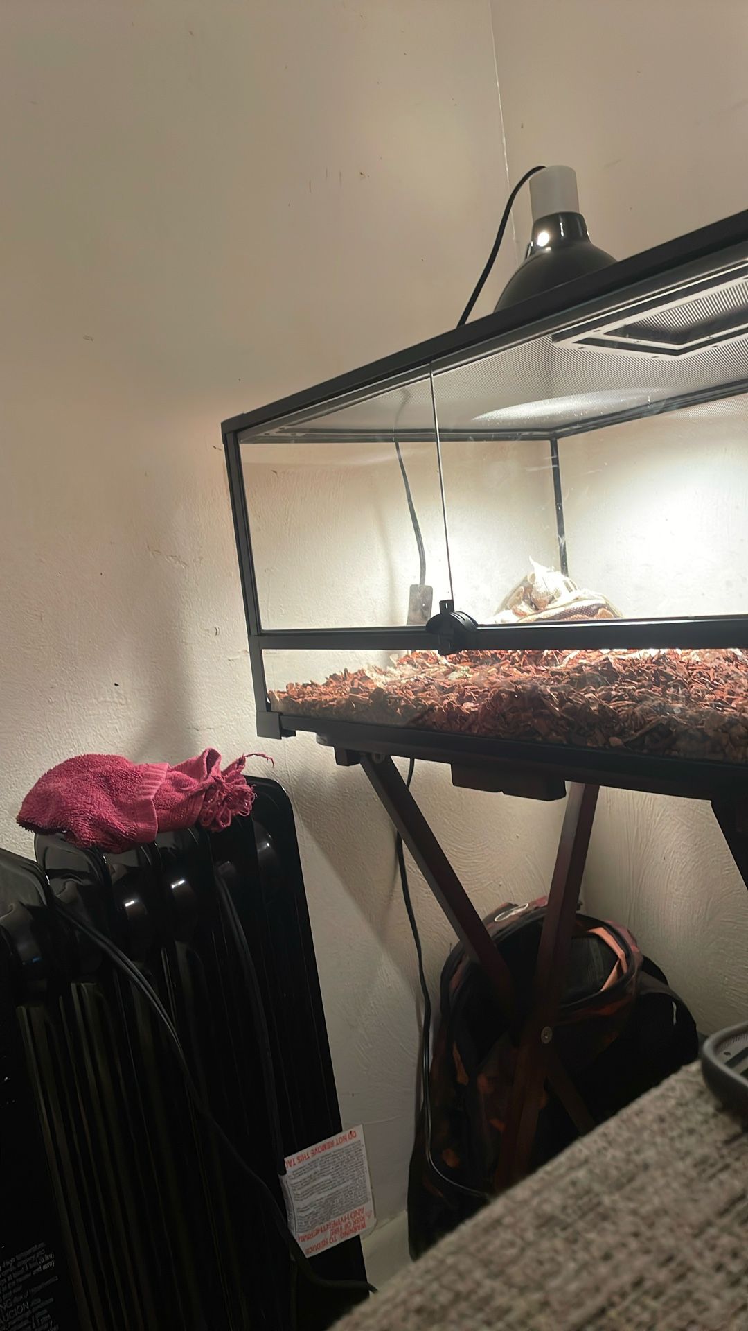 Snake For Sell