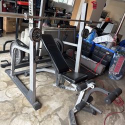 Workout Set W/bench And Weights,