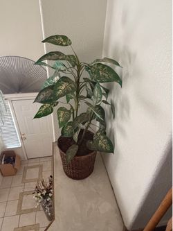 Silk Plant Decor