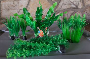 Aquarium Plant Bundle