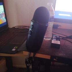 Blue Yeti Mic 