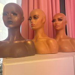 Mannequin Heads