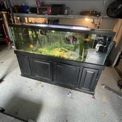 120 Gallon Fish Tank / Aquarium 