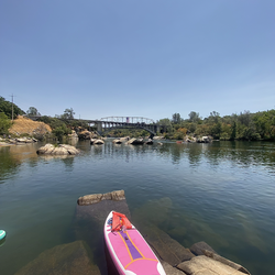 Paddle board (pink,orange,purple)