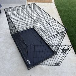Dog Kennel