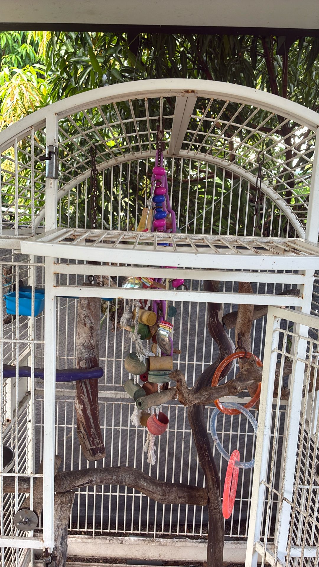 Xl Large Cage