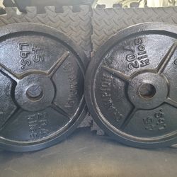 Two  45lbs Olympic Weights 